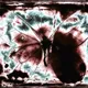 canopia
