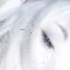 essence