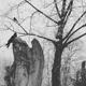 grief