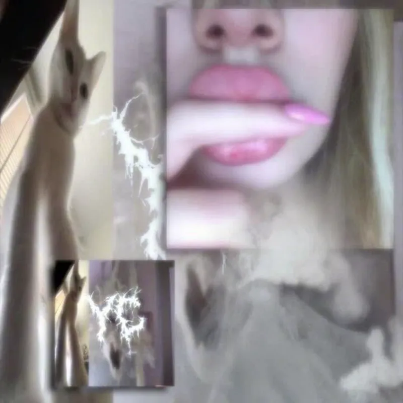 miaou