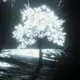 origin