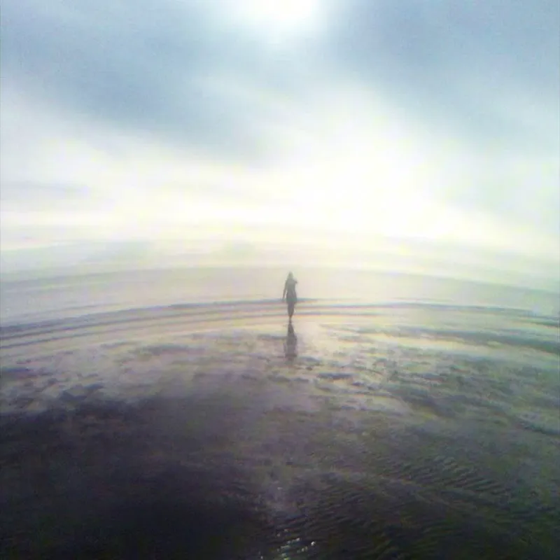 renewal