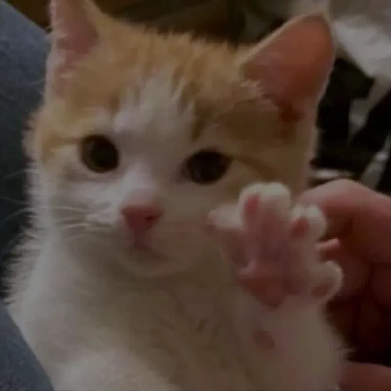 touch
